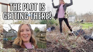 THE PLOT IS FINALLY GETTING THERE  ALLOTMENT GARDENING FOR BEGINNERS [upl. by Duarte45]