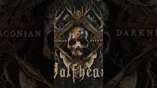 Wolfheart Draconian Darkness album review [upl. by Ahtenek]