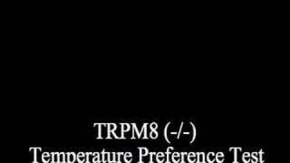 Temperature preference [upl. by Kopp]