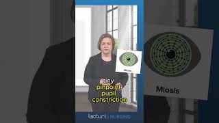 How to do a Pupil Assessment  Lecturio Nursing [upl. by Adiaros]