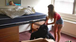 Denison University  5 Things To Look For On Campus Tour [upl. by Schnorr]