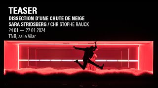 TEASER  quotDissection dune chute de neigequot Christophe Rauck [upl. by Fonseca910]