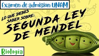 La Segunda Ley de Mendel  Biología UNAM [upl. by Sochor622]