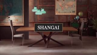 Spot Shangai [upl. by Aisats667]