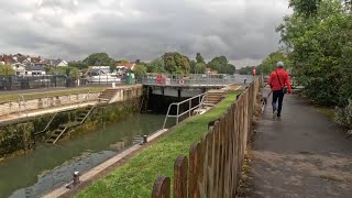 Thames Path Warton Road Bridge to Hurst Park [upl. by Adnylem]