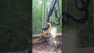 Ultimate Forest Harvesting Machine Beast07  Extreme Dangerous Big Chainsaw Cutting Tree Machines [upl. by Papotto]