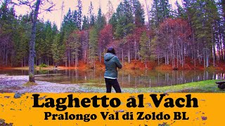 Verso il laghetto al Vach [upl. by Kcirddahc]