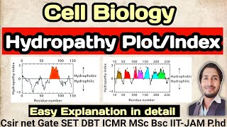 CellBiology Hydropathy Plot csirnet csir Hydropathy plot [upl. by Lednar]