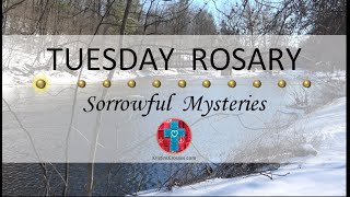 Tuesday Rosary • Sorrowful Mysteries of the Rosary 💜 March 12 2024 VIRTUAL ROSARY  MEDITATION [upl. by Nyre]