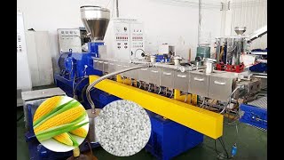 PVAPLA Starch Pelletizing Extruder Line  Kerke WANPLAS GROUP [upl. by Cheung]