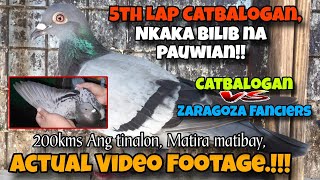 CATBALOGAN 5TH LAP DERBY  NAPAKA HIRAP NA KARERA UBOS ANG LIBO LIBONG KALAPATI [upl. by Fisa298]