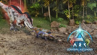 Fighting the ALPHA REX With Our Baryonyx Army ARK Survival Ascended Episode 17 [upl. by Nepets]