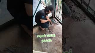 Repair lantai plumber [upl. by Englebert731]