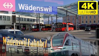 Bahnhof Wädenswil beim Züge  train station in Wädenswil Switzerland 4K 60fps video [upl. by Sihtam]