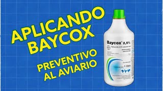 PARTE1APLICANDO PRIMERA DOSIS DE BAYCOX TRATAMIENTO COMPLETO [upl. by Rhtaeh]