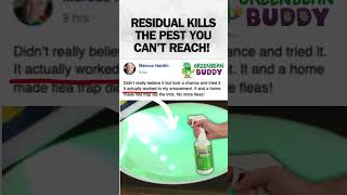 Residual Kills Pest You Cant Reach bedbugs fleas roaches [upl. by Enelyad]