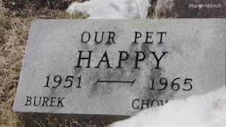 People spend small fortunes to bury pets at this cemetery [upl. by Ferretti422]