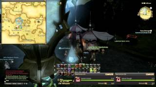 FFXIV ARR Hunting Log Maelstrom Rank 1 locations [upl. by Heisel]