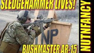 Sledgehammer Drill by Nutnfancy Sig P226 Bushy AR15 Aimpoint [upl. by Treharne]