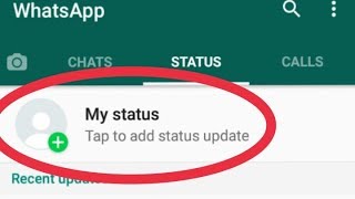 How To Fix Whatsapp Status Problem Solve [upl. by Dlaregztif735]