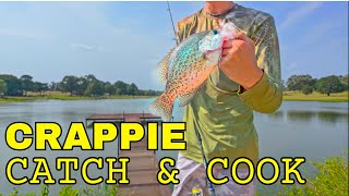 GIANT Crappie Catch amp Cook  Crappie Fishing [upl. by Izak]