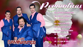 Los Caminantes 15 Rancheras Romanticas Perronas Éxitos❤️‍🔥Los Caminantes Mix Románticas Inolvidables [upl. by Jollenta272]