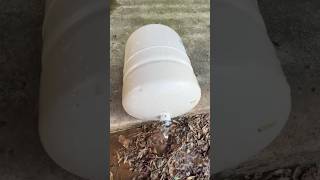 What happens when a water heater expansion tank fails plumbing [upl. by Cioffred921]