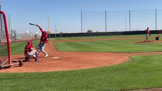 Luke Maile takes a Casey Legumina fastball off his left elbow Sunday [upl. by Adnohs]