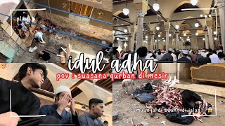 Kaget Jadi gini Idul adha dan qurban di Mesir [upl. by Immat]