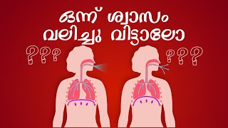 ഒന്ന് ശ്വാസം വലിച്ചു വിട്ടാലോ  Respiratory System  Class 9  Biology [upl. by Tihw]