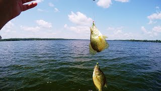 My FAVORITE Crappie Rig Setup How to Tie Double Jig Crappie Rig [upl. by Morville574]