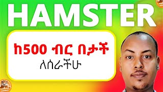 Hamster Kombat ላይ ከ500 ብር በታች ለሰራችሁ መፍተሄ  Hamster Kombat wallet to ethiopian banks [upl. by Tymothy]