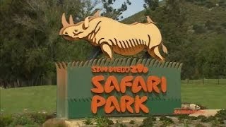 San Diego Zoo Safari Park [upl. by Iveson]