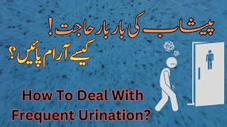 Urinary Frequency Causes Signs and Symptoms Diagnosis and Treatmentdoctor urineinfection [upl. by Yelnek289]