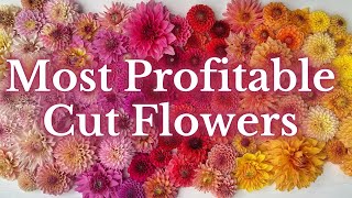 InDemand Blooms Discover Our Top 6 Most Profitable Cut Flowers For 2022  PepperHarrowFarmcom [upl. by Milissent]