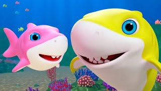 Baby Shark Song ABC Song Color Song  More Nursery Rhymes amp Kids Songs LIVE [upl. by Aizti548]