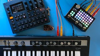 🔴 LIVE  fun with ZOIA amp Digitakt II amp reface CP [upl. by Triley84]