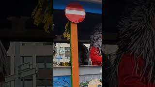 Fasnacht Basel WAGGIS trending youtubeshorts viral viralvideo pokemon shortsvideo shorts fyp [upl. by Reivaz]