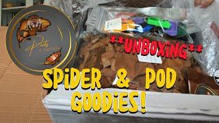 UNBOXING ISOPOD amp SPIDER GOODIES🕷️🫛 [upl. by Joya]