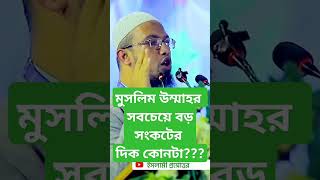 মুসলিম উম্মাহর সবচেয়ে বড় সংকটের দিক কোনটা শায়খ আহমাদুল্লাহ waz ahmadullah islamicpreacher [upl. by Arias]