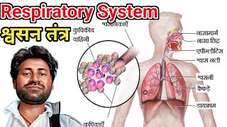 🔷Human Respiratory System in Hindi Class 10 Science श्वसन तंत्रRespiratory System Part1✅️ [upl. by Amber]