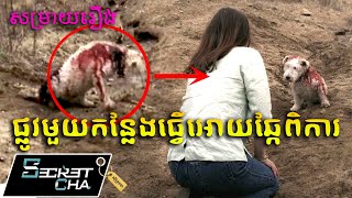 ឆ្លងកាត់ផ្លូវចម្លែកមួយ ដែលធ្វើអោយមនុស្សស្លាប់ជាច្រើននាក់  សម្រាយរឿង Reeker Secret Cha [upl. by Fred]