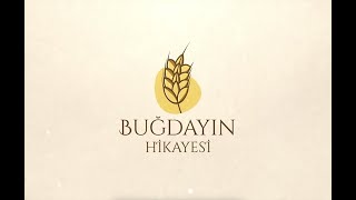 Buğdayin Hikayesi 1  Bisküvi [upl. by Akitahs]