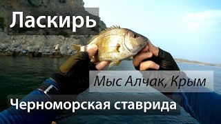 🇷🇺 Чёрное море мыс Алчак Крым Ставрида Ласкирь 201607 [upl. by Ploss]