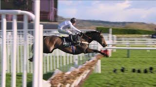 CONSTITUTION HILL is pure perfection as he runs away with the 2023 Champion Hurdle [upl. by Connelley]