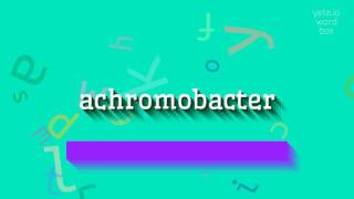 How to say quotachromobacterquot High Quality Voices [upl. by Trilley25]