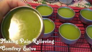 Making Comfrey Salve for Pain Relief 🌱 Easy and Beneficial [upl. by Etnuad644]