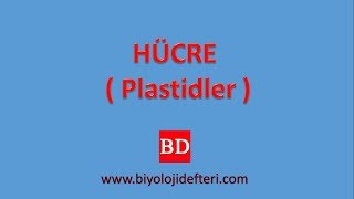 HÜCRE  16  Plastidler [upl. by Arinaid585]