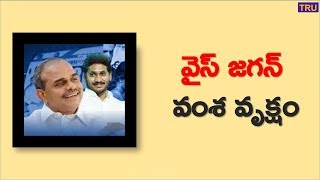 వైస్ జగన్ వంశ వృక్షం  Jagan Family Tree  YSRaja Reddy Descendants [upl. by Yovonnda]