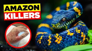 10 Most VENOMOUS SNAKES in Amazon Rainforest [upl. by Dunc48]